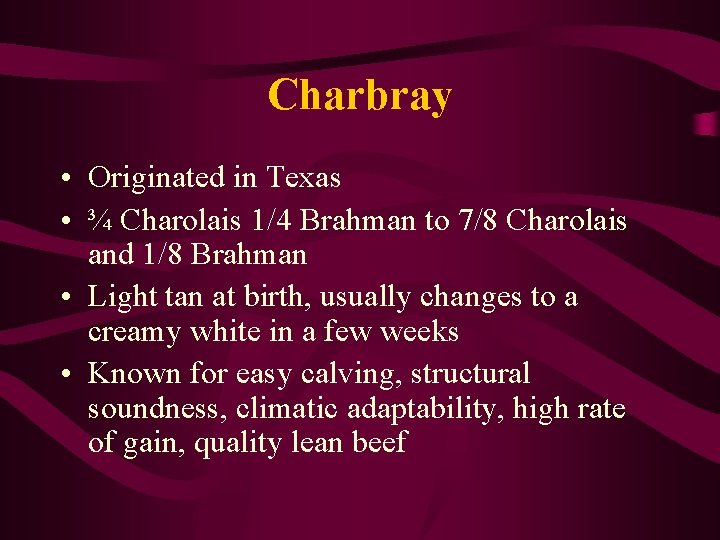 Charbray • Originated in Texas • ¾ Charolais 1/4 Brahman to 7/8 Charolais and