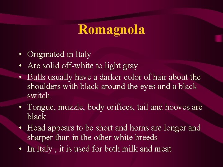 Romagnola • Originated in Italy • Are solid off-white to light gray • Bulls