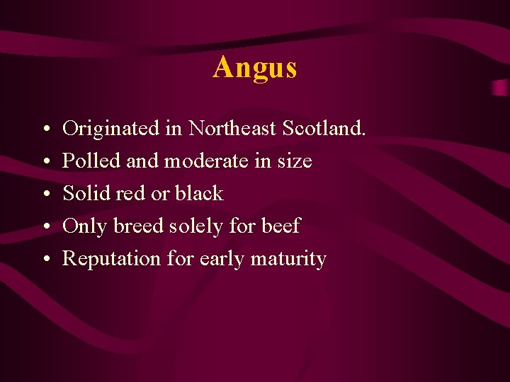 Angus • • • Originated in Northeast Scotland. Polled and moderate in size Solid