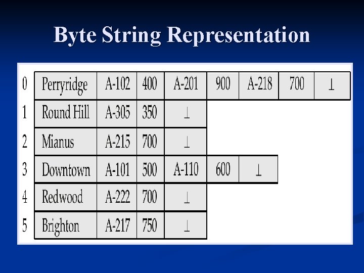 Byte String Representation 