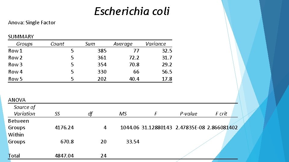 Escherichia coli Anova: Single Factor SUMMARY Groups Row 1 Row 2 Row 3 Row