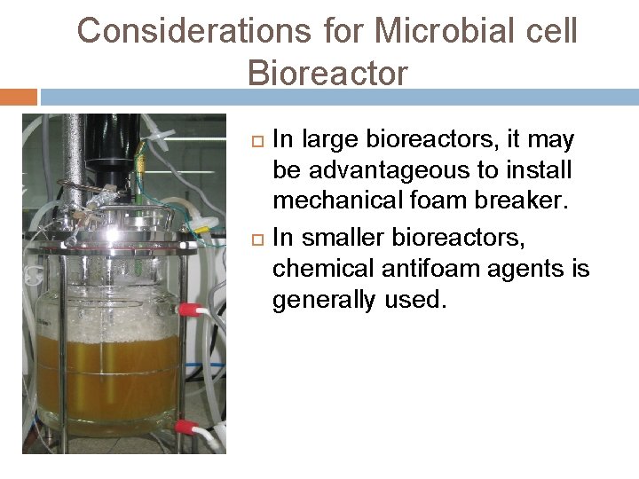 Considerations for Microbial cell Bioreactor In large bioreactors, it may be advantageous to install