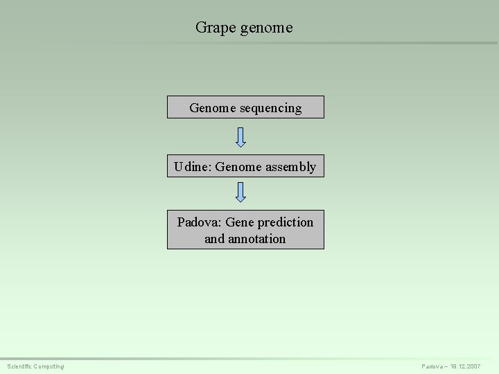 Grape genome Genome sequencing Udine: Genome assembly Padova: Gene prediction and annotation Scientific Computing