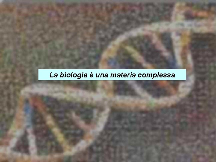 La biologia è una materia complessa Scientific Computing Padova – 19. 12. 2007 