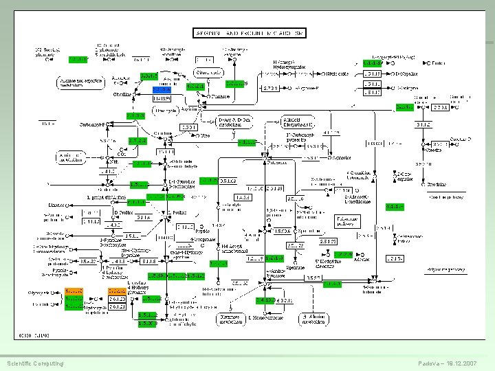 Scientific Computing Padova – 19. 12. 2007 