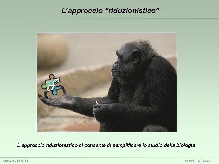 L’approccio “riduzionistico” L’approccio riduzionistico ci consente di semplificare lo studio della biologia Scientific Computing