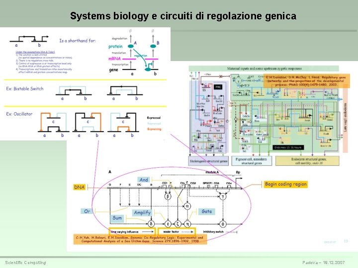 Systems biology e circuiti di regolazione genica Scientific Computing Padova – 19. 12. 2007