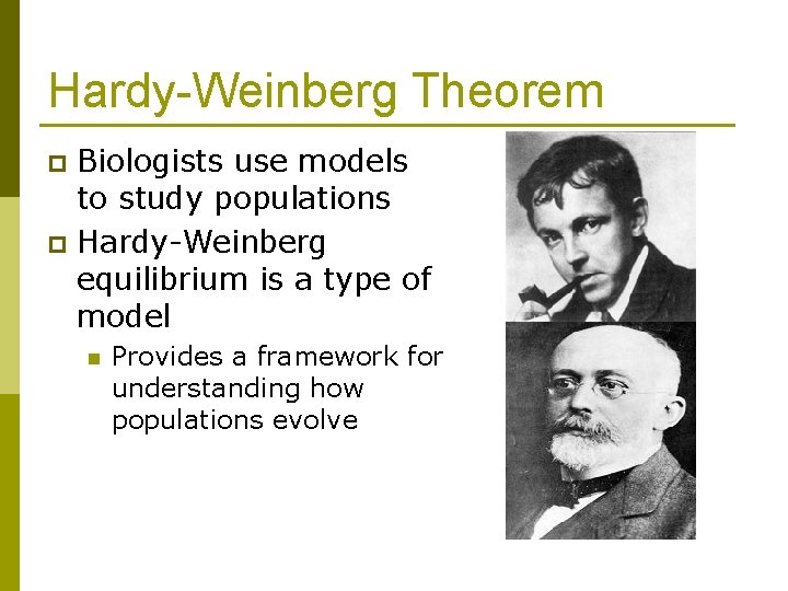 Hardy-Weinberg Theorem Biologists use models to study populations p Hardy-Weinberg equilibrium is a type