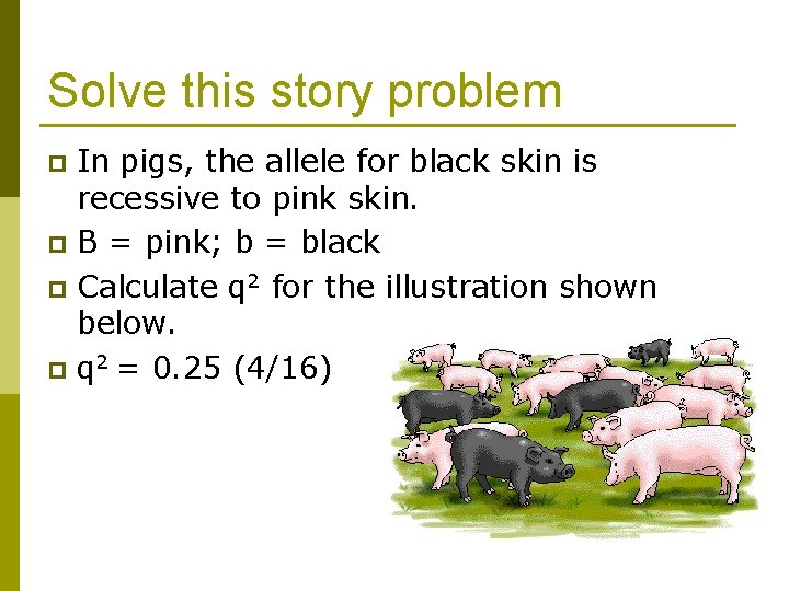 Solve this story problem In pigs, the allele for black skin is recessive to