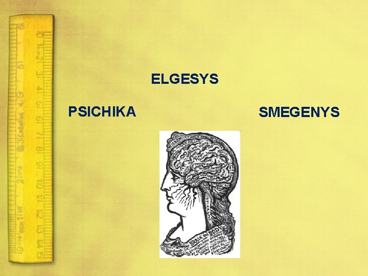 ELGESYS PSICHIKA SMEGENYS 