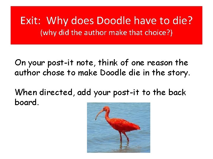 Exit: Why does Doodle have to die? (why did the author make that choice?
