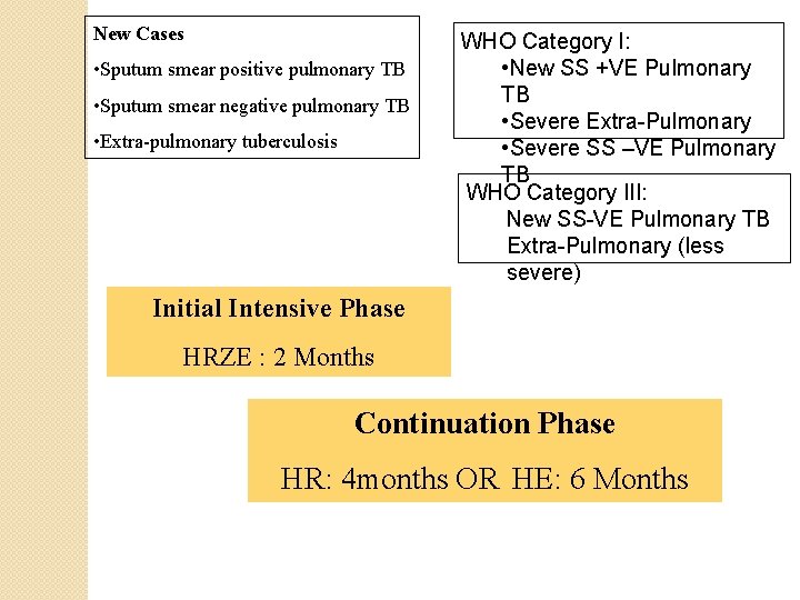 New Cases • Sputum smear positive pulmonary TB • Sputum smear negative pulmonary TB