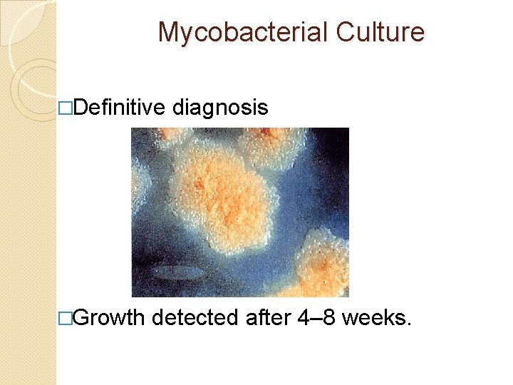 Mycobacterial Culture �Definitive �Growth diagnosis detected after 4– 8 weeks. 