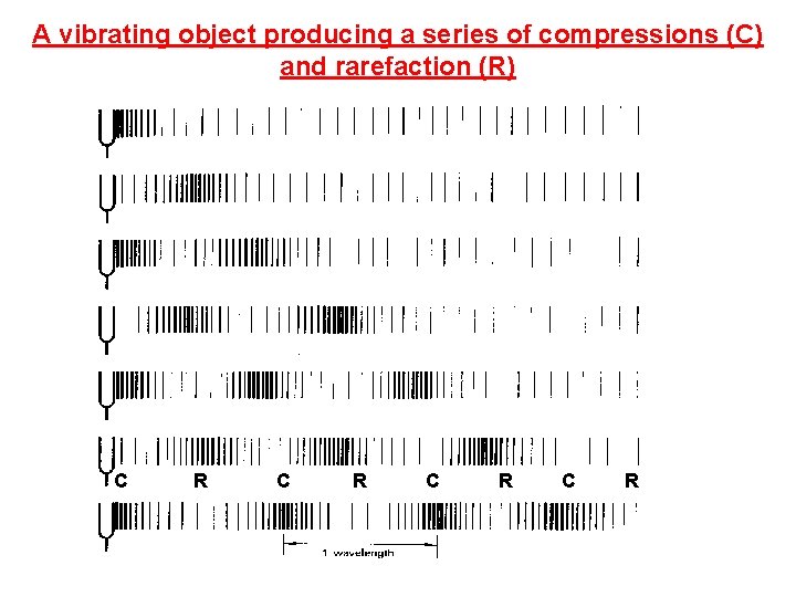 A vibrating object producing a series of compressions (C) and rarefaction (R) C R
