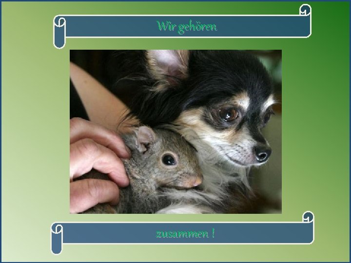 Wir gehören zusammen ! 