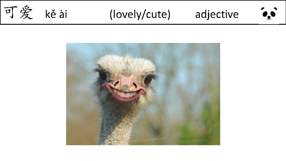 可爱 kě ài (lovely/cute) adjective 可爱 kě ài (lovely/cute) adjective