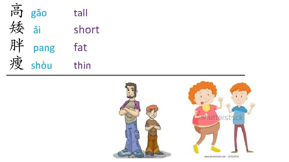 高 矮 胖 瘦 gāo tall ǎi pang short fat shòu thin 高 矮 胖 瘦 gāo tall ǎi pang short fat shòu thin