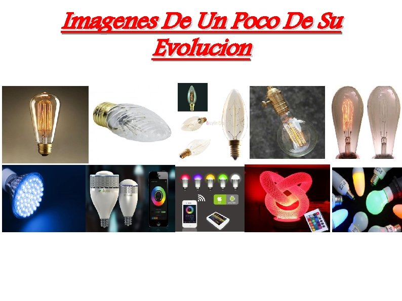 Imagenes De Un Poco De Su Evolucion 