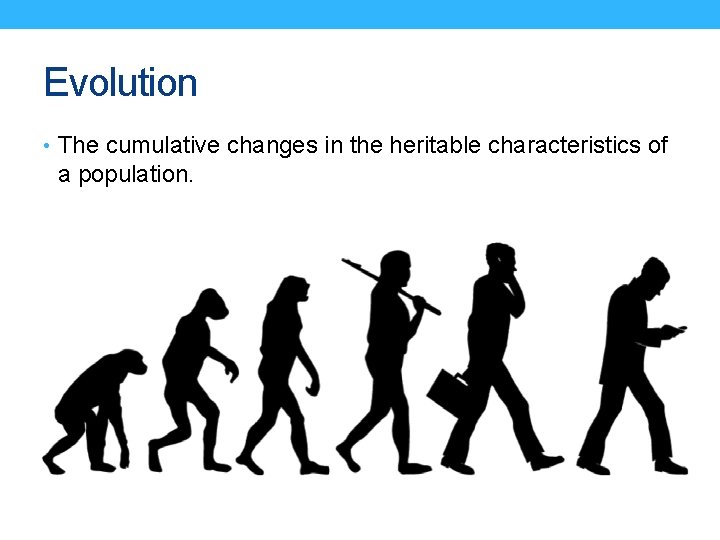 Evolution • The cumulative changes in the heritable characteristics of a population. 