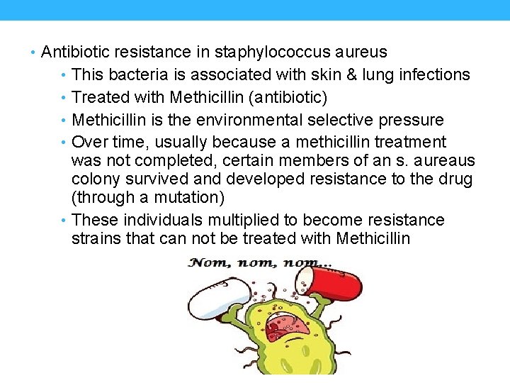  • Antibiotic resistance in staphylococcus aureus This bacteria is associated with skin &