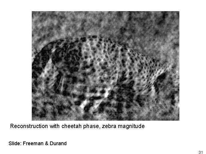 Reconstruction with cheetah phase, zebra magnitude Slide: Freeman & Durand 31 