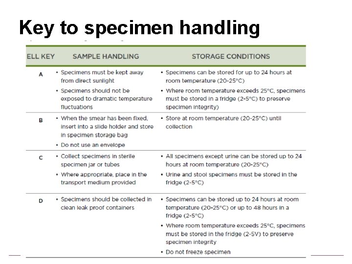 Key to specimen handling 