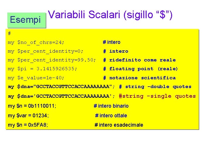  Variabili Scalari (sigillo “$”) Esempi # my $no_of_chrs=24; # intero my $per_cent_identity=0; #