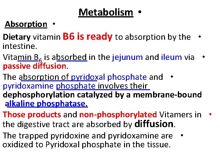 Metabolism • Absorption • Dietary vitamin B 6 is ready to absorption by the