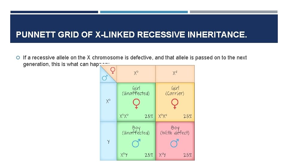 PUNNETT GRID OF X-LINKED RECESSIVE INHERITANCE. If a recessive allele on the X chromosome