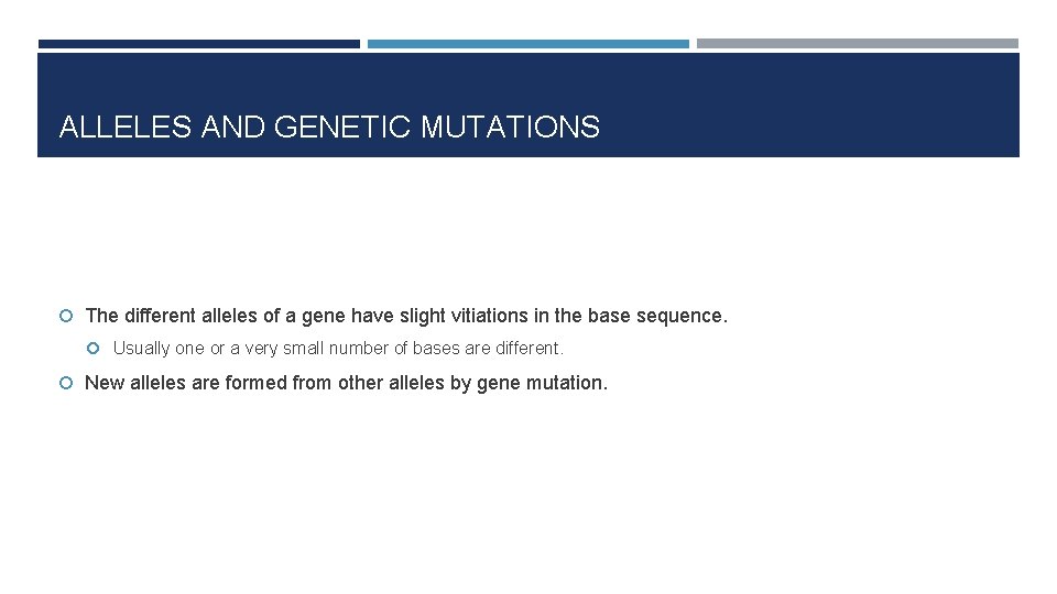 ALLELES AND GENETIC MUTATIONS The different alleles of a gene have slight vitiations in
