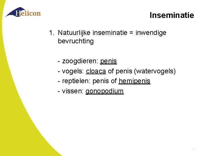 Inseminatie 1. Natuurlijke inseminatie = inwendige bevruchting - zoogdieren: penis - vogels: cloaca of