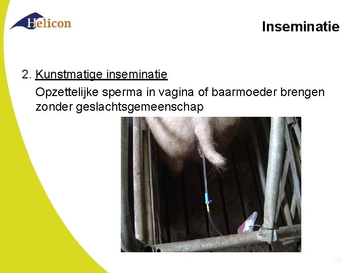 Inseminatie 2. Kunstmatige inseminatie Opzettelijke sperma in vagina of baarmoeder brengen zonder geslachtsgemeenschap 25