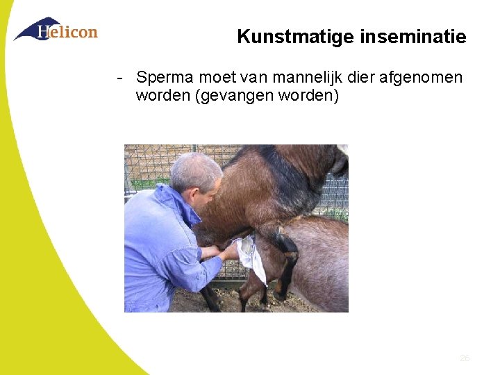 Kunstmatige inseminatie - Sperma moet van mannelijk dier afgenomen worden (gevangen worden) 26 