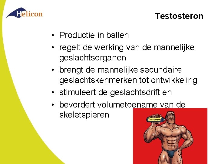 Testosteron • Productie in ballen • regelt de werking van de mannelijke geslachtsorganen •