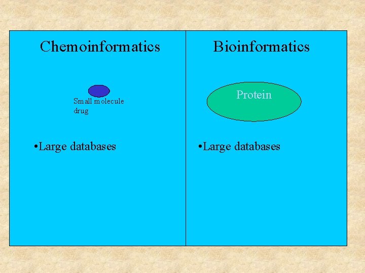 Chemoinformatics Small molecule drug • Large databases Bioinformatics Protein • Large databases 