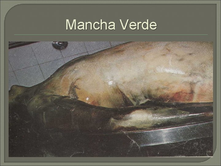 Mancha Verde 