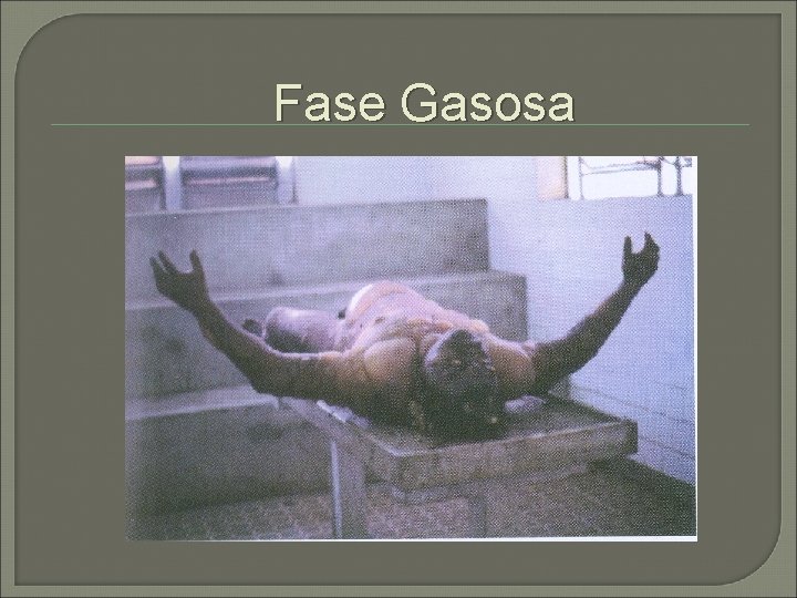 Fase Gasosa 