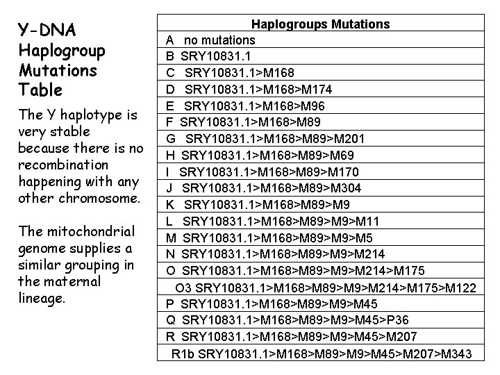 Y-DNA Haplogroup Mutations Table The Y haplotype is very stable because there is no