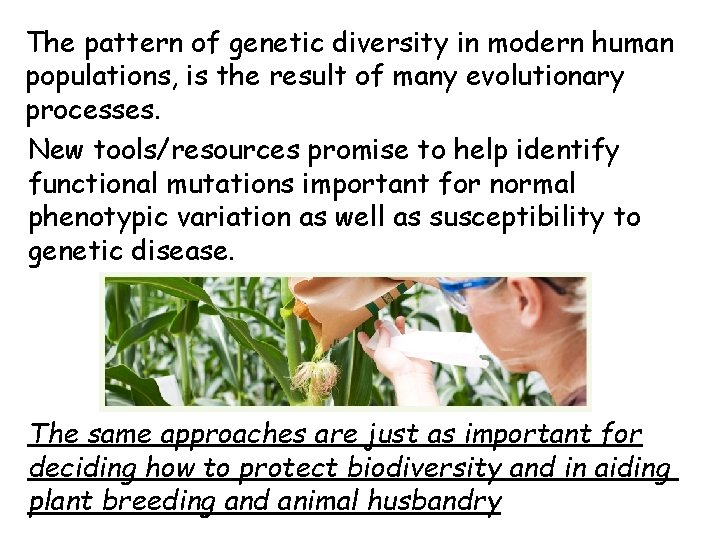 The pattern of genetic diversity in modern human populations, is the result of many