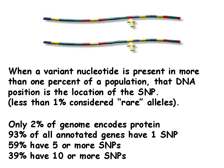 When a variant nucleotide is present in more than one percent of a population,