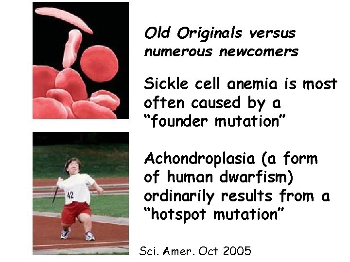 Old Originals versus numerous newcomers Sickle cell anemia is most often caused by a