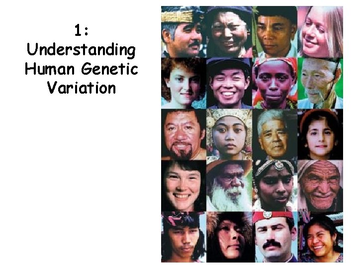 1: Understanding Human Genetic Variation 