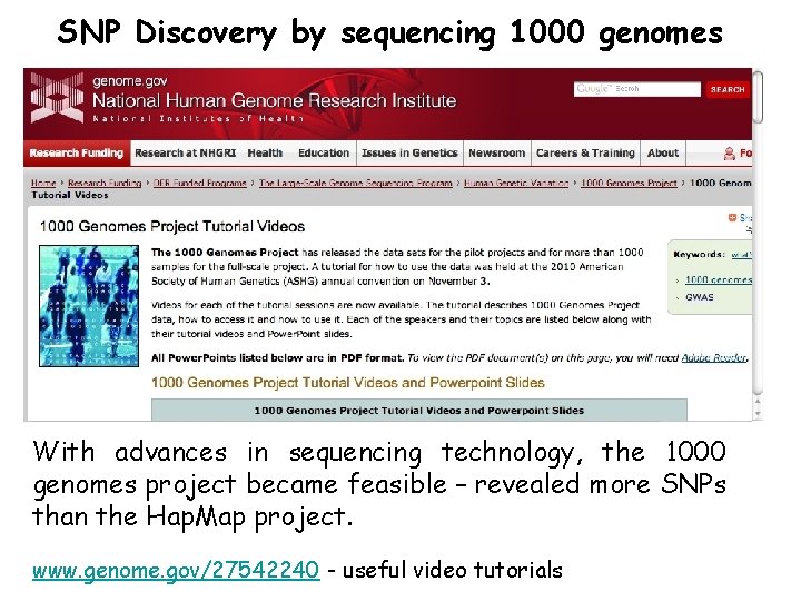 SNP Discovery by sequencing 1000 genomes With advances in sequencing technology, the 1000 genomes