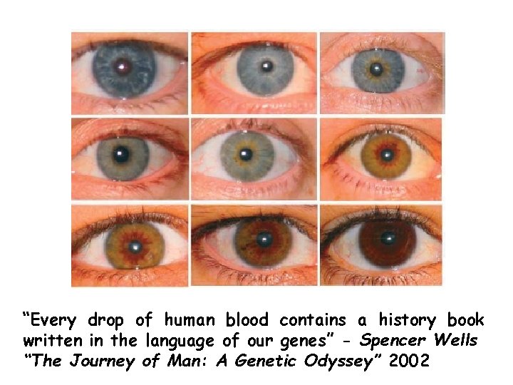 “Every drop of human blood contains a history book written in the language of