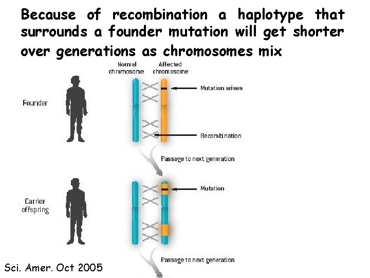 Because of recombination a haplotype that surrounds a founder mutation will get shorter over