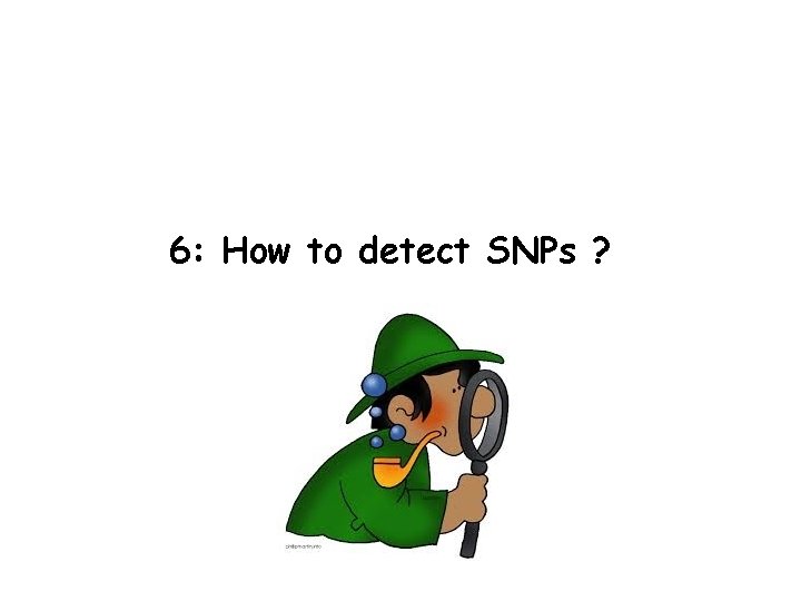 6: How to detect SNPs ? 