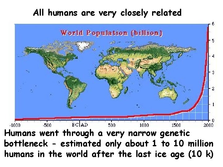 All humans are very closely related Humans went through a very narrow genetic bottleneck