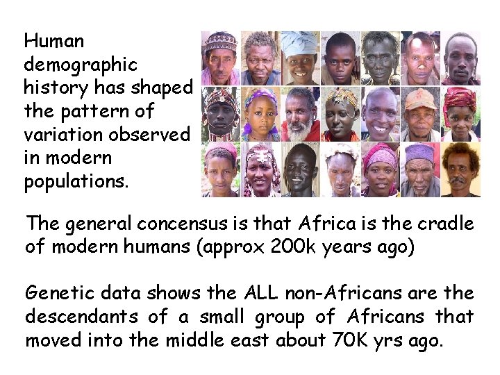 Human demographic history has shaped the pattern of variation observed in modern populations. The