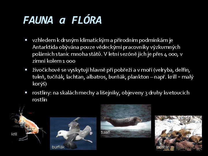 FAUNA a FLÓRA vzhledem k drsným klimatickým a přírodním podmínkám je Antarktida obývána pouze