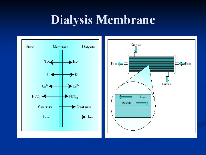 Dialysis Membrane 
